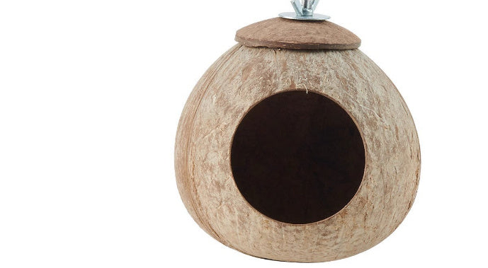 Reptile Swing Set with Coconut Shell Nest