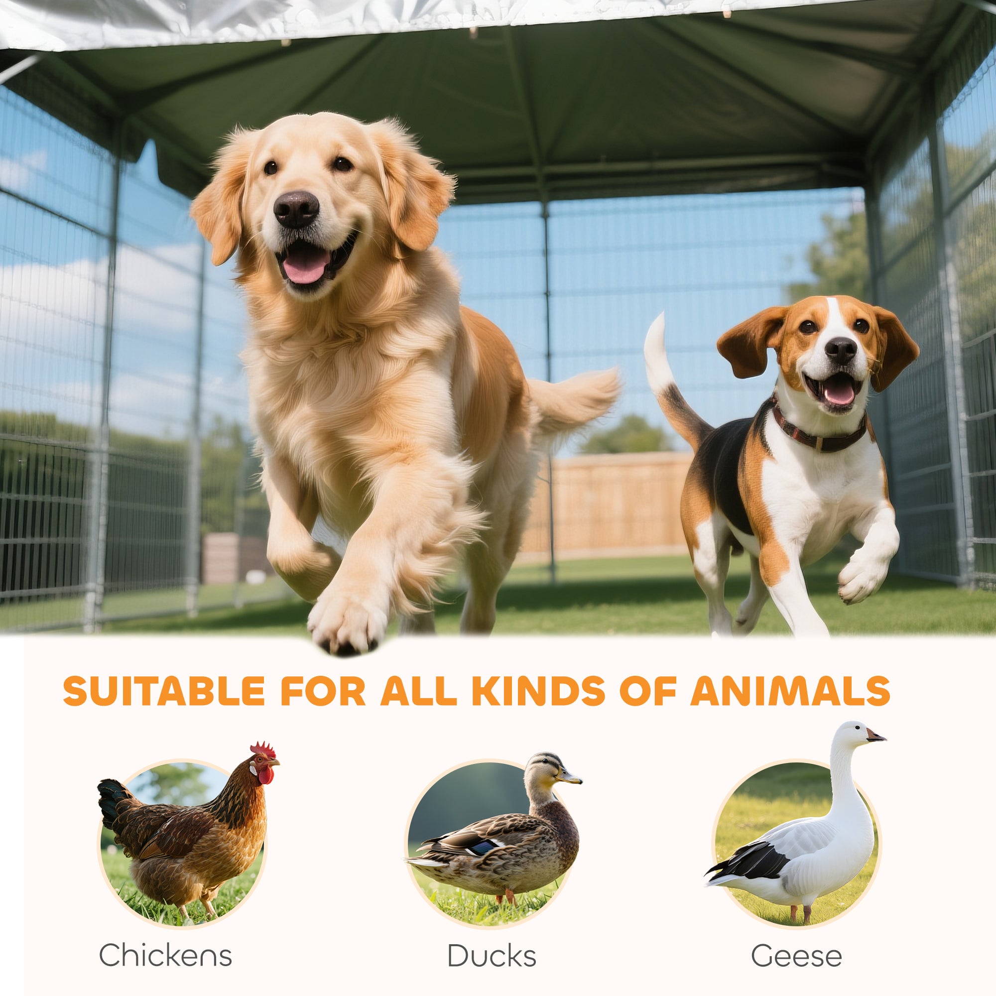 5.9' x 4' x 6' Outdoor Dog Kennel with Roof, Rotating & 4-Level Adjustable Bowls