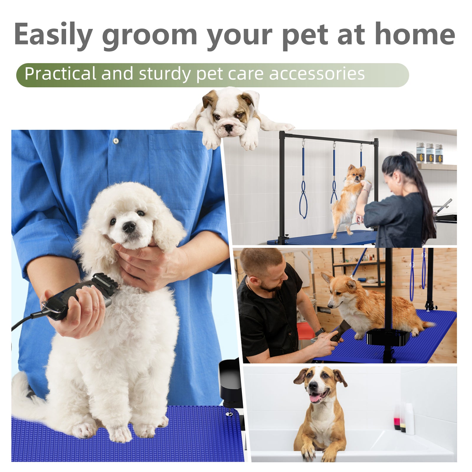 47  Blue Large Dog Grooming Table X-Lift Foldable Grooming Table For Dogs At Home Adjustable Height Arms Pet Station With Nooses, Tool Organizer