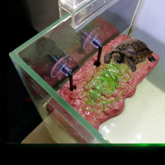 Eco-Friendly Turtle Basking Platform Floating Dock