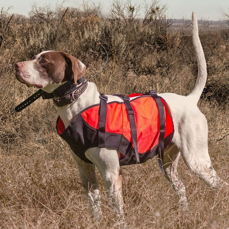 Rodeo Dog Cooling Vest
