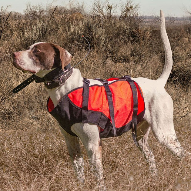 Rodeo Dog Cooling Vest