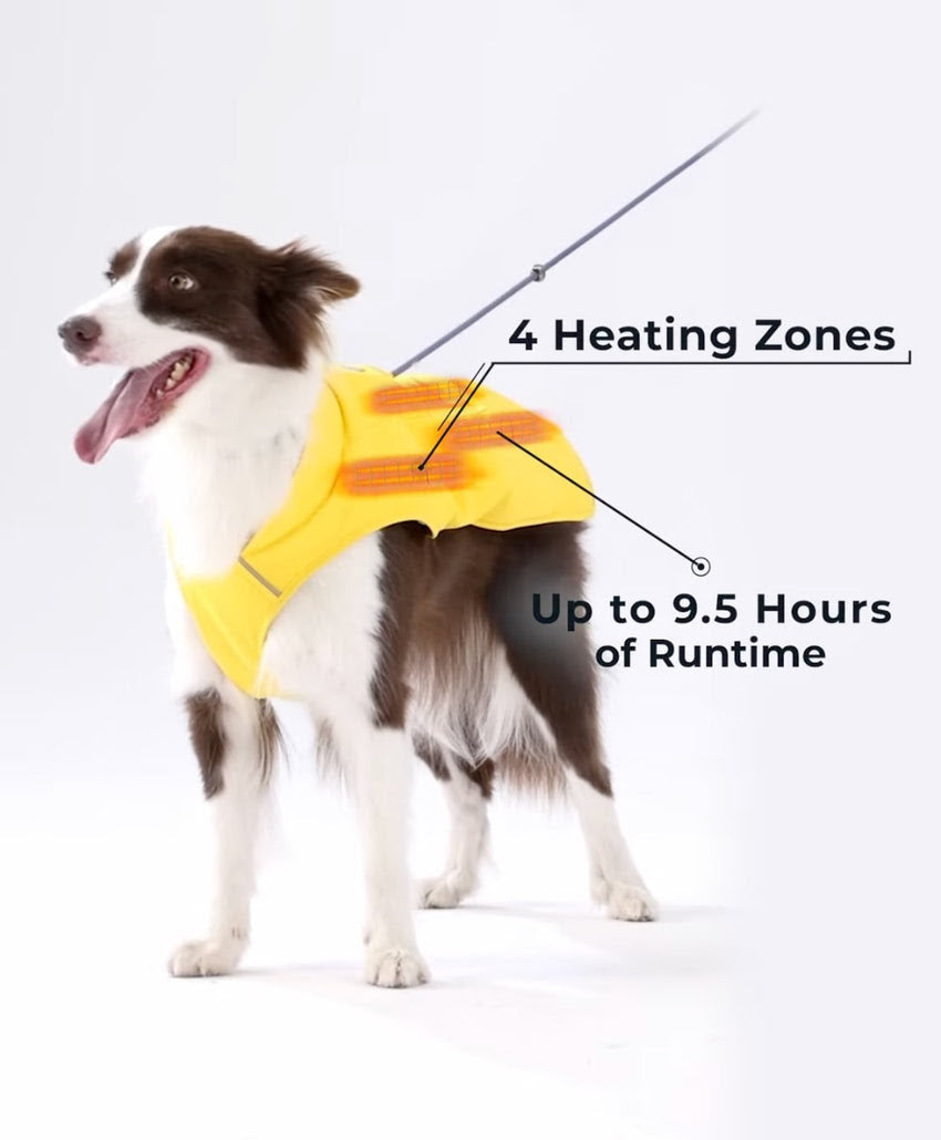 Rodeo Dog Cooling Vest